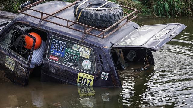球迷而言 球迷而言
