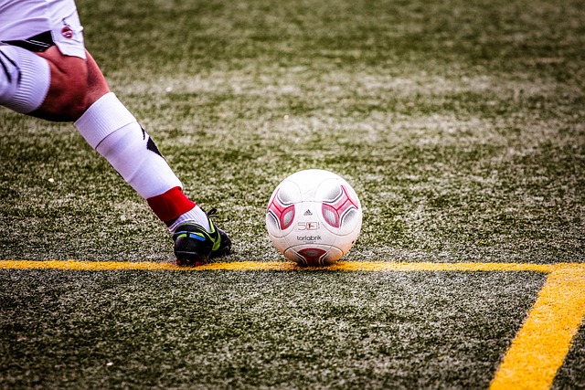 成绩和鲜明 成绩和鲜明