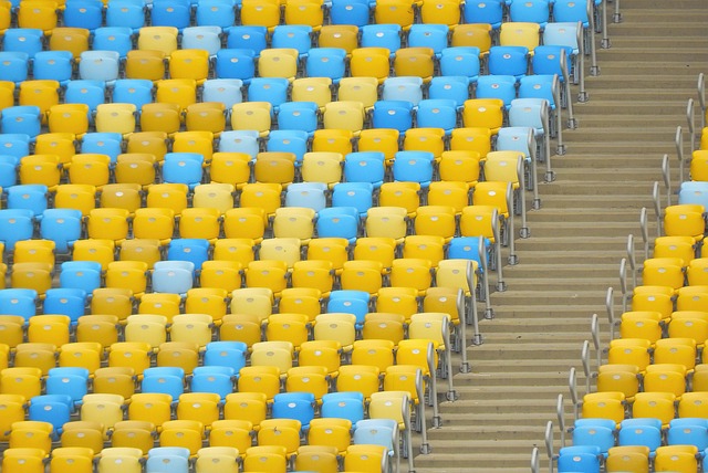 皇家社会的 皇家社会的